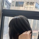 티 소로다