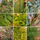 사평대로55길 64 | 내일배움카드사용 / 과정평가형 화훼장식 산업기사 수업 / 포엠플로리스트학원 60일~64일차 수업 후기