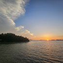 배곧한울공원 이미지