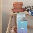 경안약국 이미지