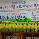 적십자사랑팡 이미지