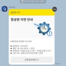 비아다빈치 | EP.13 로마 ➡️ 인천 ( + 트래블비아 후기 ✈️ )