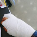 엉클스캣 코숏 루리 세종고양이무마취미용 후기~