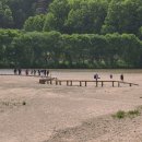 영주시 선비촌주차장 공공자전거무인대여소 | 무섬마을 외나무다리 영주관광지도 8일차 #오늘일기