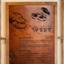 일일양 동래점 이미지