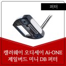 주식회사 제일골프 네이버블로그