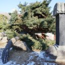 봉은사판전신중도 이미지