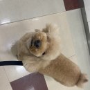 보리쌀롱 이미지