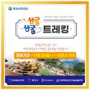 통영여행 제철생굴요리와 ‘생글생굴 트레킹’ 코리아둘레길 참여후기