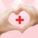 중앙간호학원 이미지