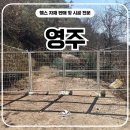 영주이야기 | 영주휀스 - 사유지 출입금지 메쉬쌍문 시공 후기