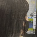 레이어컷트 긴머리 염색후기 :: 대전 토리헤어 관저점