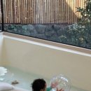 멍쿠실낭 이미지