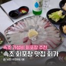 속초 회포장 맛집 회가 내돈내산 가성비 횟집 신유네회포장 예약 실패