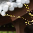 고려동유적지 이미지