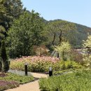 연경행복정원 | [대구 신상 카페] 도심 속 다른 세상! 연경저수지 호수뷰가 예술인 ‘브런치카페 도덕’ 가오픈 솔직 후기
