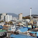 영도초재