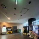 춘천시너스카펠라복합빌딩 | [춘천 CGV] 춘천 CGV에서 주토피아2 보고왔어요🧡🤍💜(주토피아 후기도)