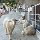 오덕목장 이미지