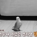 학계농장 Daum카페