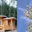 유치자연휴양림 이미지