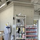 하이, 멍 | 부산 애견카페 하이멍 다녀왔어요 🐶 강서구 애견카페 후기