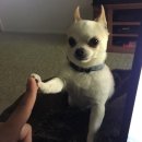 (주)엔에이치에이바이오 | 우리는 같은 음악을 듣고 비스듬히 다른 생각을 하고