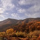 곰골스카이 이미지