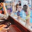 마리누스 어린이 수영장 이미지