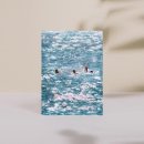 차일로 쇼핑하우