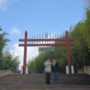 전남 담양 가볼만 한 곳 사시사철 푸르른 &#39; 죽녹원 &#39;