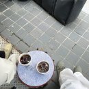 모노몰 이미지