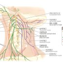 차의과학대학교 대학원 이미지