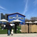 도그아일랜드 이미지