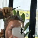 구암동440 | 대구 북구 가꿈토탈 원장님최고 너무예쁘게나온 뿌염후기