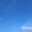 애니 골프 | 애니포레 두 번째 도전 리얼 후기