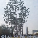 제,1063회 일산호수공원 걷기 이미지