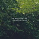 송림광고