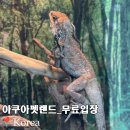 해양공원 C동 | 거북섬 아쿠아펫랜드 무료입장 가볍게보고가기