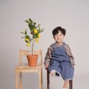 솔바람사진관 이미지