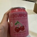 [코다팝]코다팝 프리바이오틱 소다 경주체리 솔직 후기