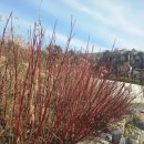 초막골생태공원(폭포화장실) | 서울근교 군포 가볼만한곳 자연 속 힐링 공간 초막골생태공원 캠핑장