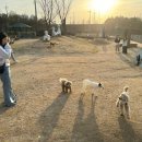 부경주유소 이미지