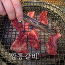 언하공단로1 이미지