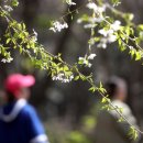 정원사진관 이미지