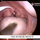 코보약국 이미지