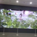 목포랑 공부하자._목포자연사박물관
