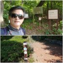 행정4길 이미지