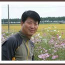 회,장,메 이미지