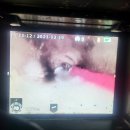 종로5.6가동 이미지